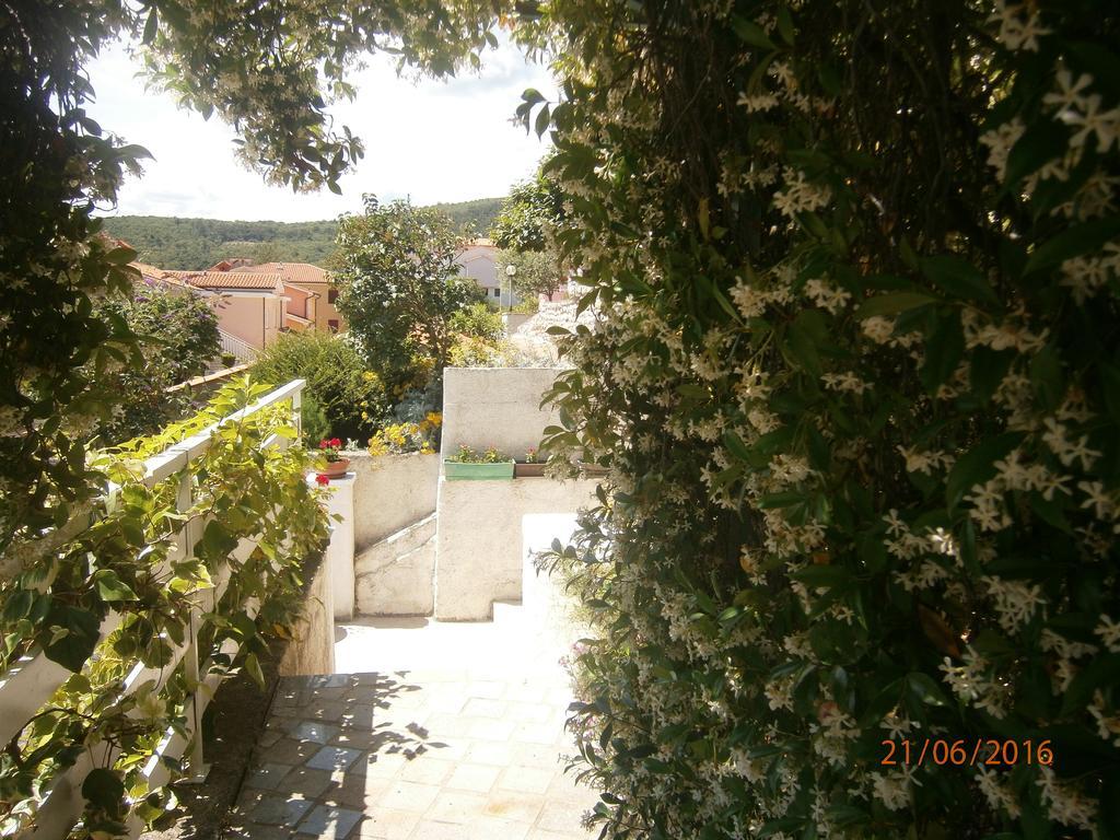 Apartman Sea And Sun *